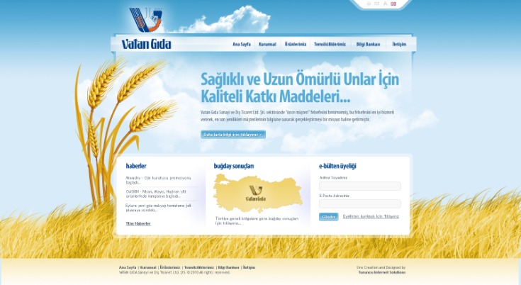 web design good practices